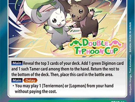 Double Typhoon [ST17-11] [Starter Deck: Double Typhoon Advanced Deck Set Pre-Release Cards] Online Sale