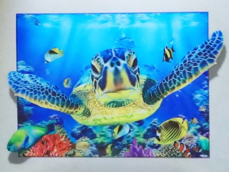 Sea Turtles - 3D Lenticular Poster - 12x16 Print - New Online Sale