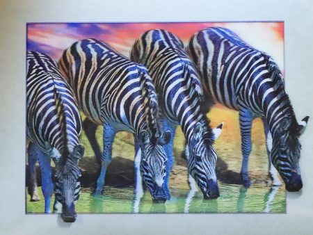 Zebras Drinking - 3D Lenticular Poster - 12x16 Print - New Hot on Sale