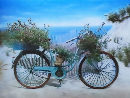 Bicycle on Beach - 3D Lenticular Poster - 12x16 Print - New For Sale