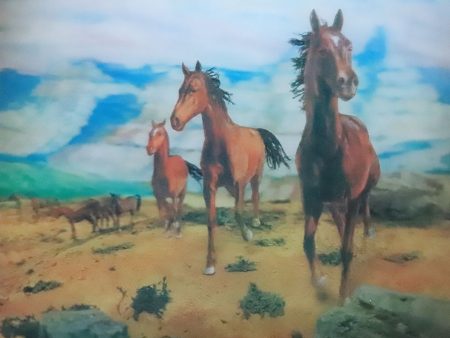 Wild Horse - 3D Lenticular Poster - 12x16 - New Sale