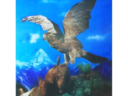 The Eagle - 3D Lenticular Poster - 12x16 - New Sale