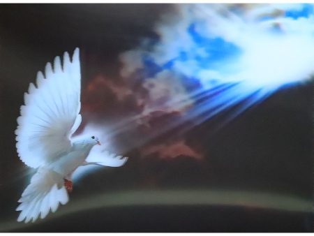 Dove in the Sky - 3D Lenticular Poster - 12x16 Print - New For Sale