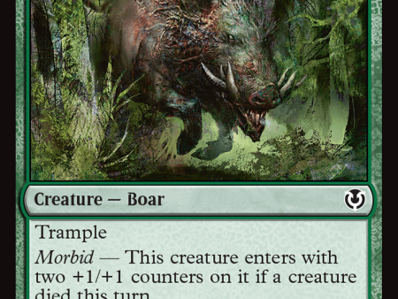 Festerhide Boar [Innistrad Remastered] Supply