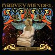 HARVEY MANDEL - WHO S CALLING (CD) Hot on Sale